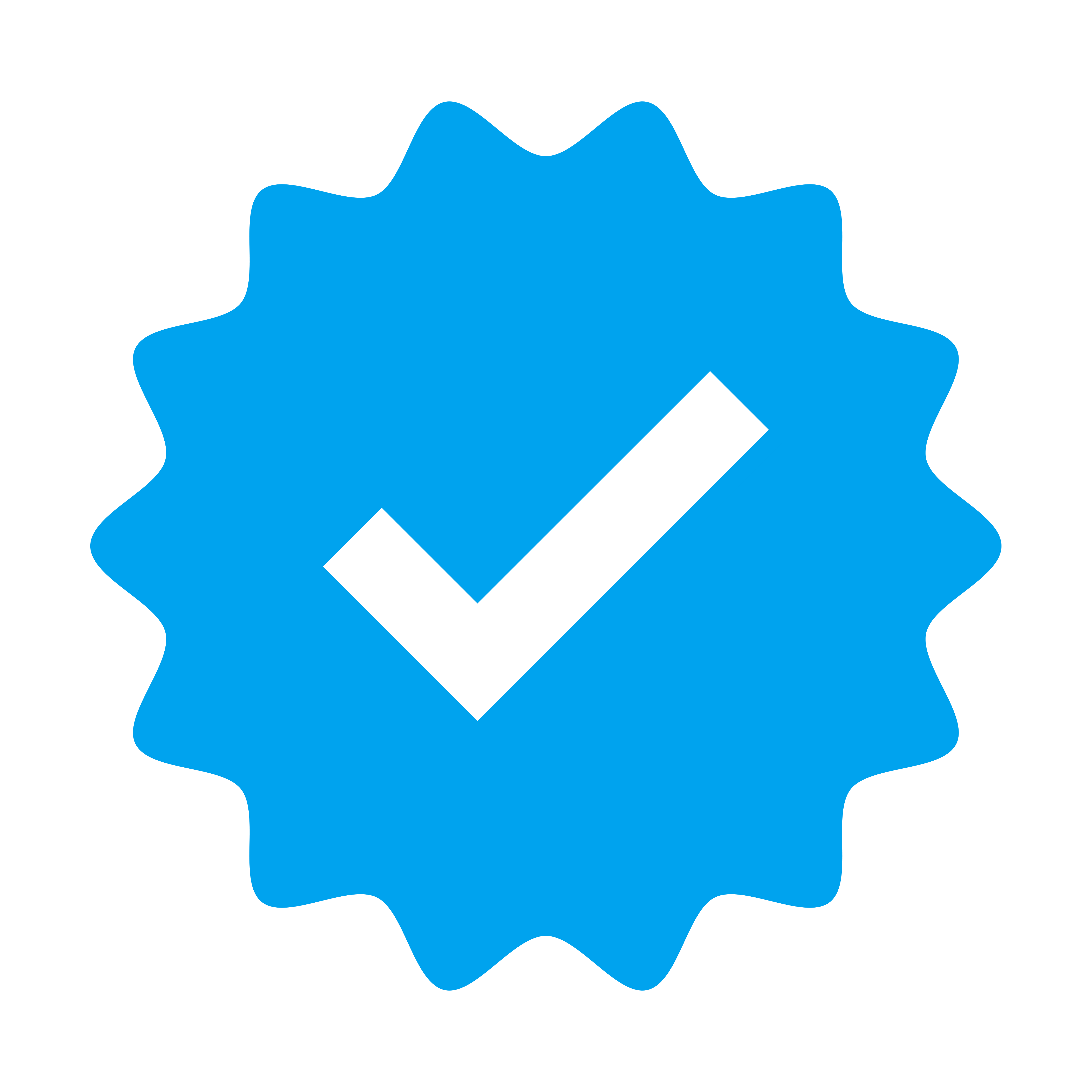 Verification Badge Icon